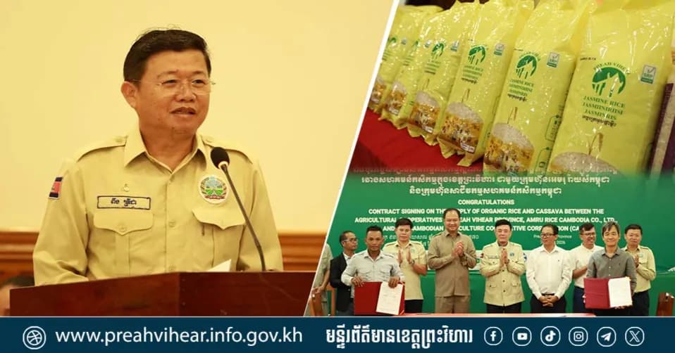 «ចុះកិច្ចសន្យា ទទួលបានតម្លៃបន្ថែម ២០% ទៅ ៣០%!» តើកសិករខេត្តព្រះវិហារ ទទួលបានផលចំណេញអ្វីខ្លះ ពីការធ្វើកសិកម្មតាមកិច្ចសន្យា?