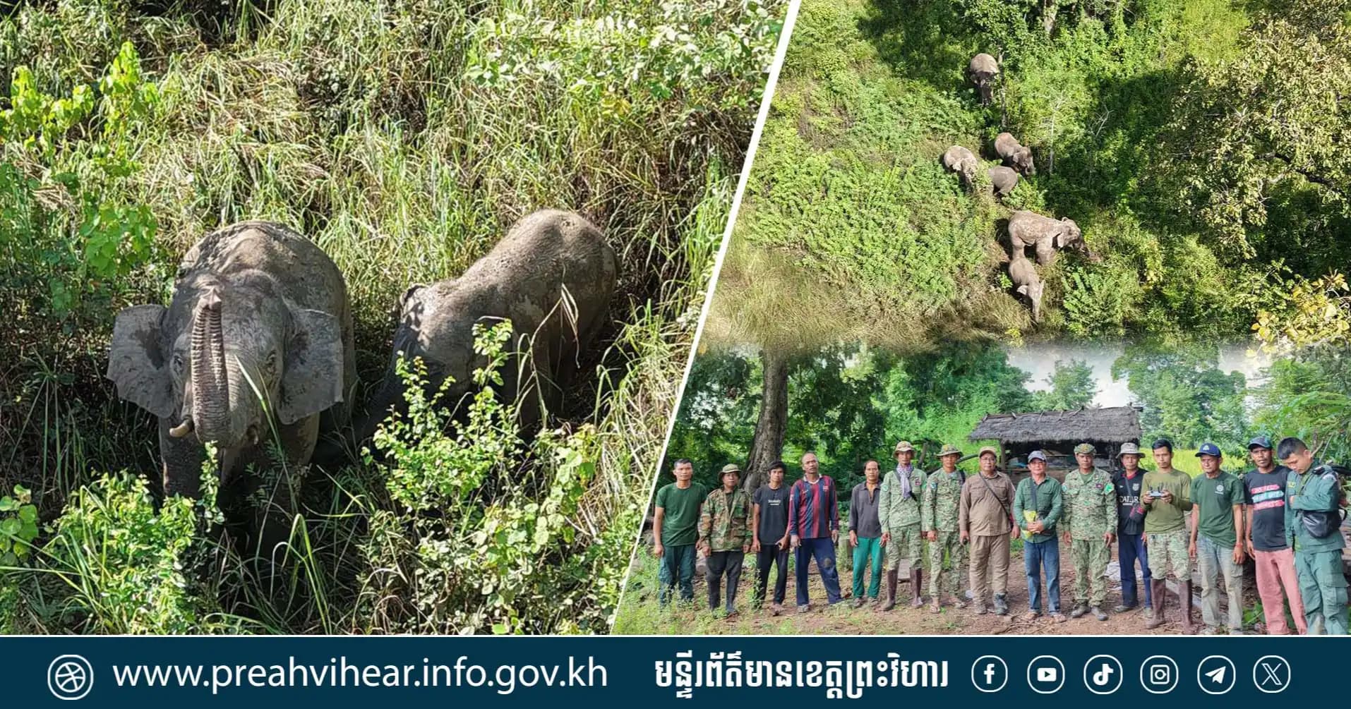 ក្រុមការងាររដ្ឋបាលស្រុកគូលែន ចុះតាមដាន និងផ្សព្វផ្សាយពីសុវត្ថិភាព ក្រោយជួបហ្វូងដំរីព្រៃចំនួន ៦ក្បាល