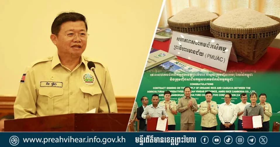 ទីផ្សារស្រូវ និងដំឡូងមីសរីរាង្គ សរុប ១៤លានដុល្លារ ត្រូវបានធានាយ៉ាងរឹងមាំតាមរយៈកិច្ចសន្យារវាងក្រុមហ៊ុនធំៗចំនួន២ ជាមួយនិងបងប្អូនប្រជាសហគមន៍ក្នុងខេត្តព្រះវិហារ!