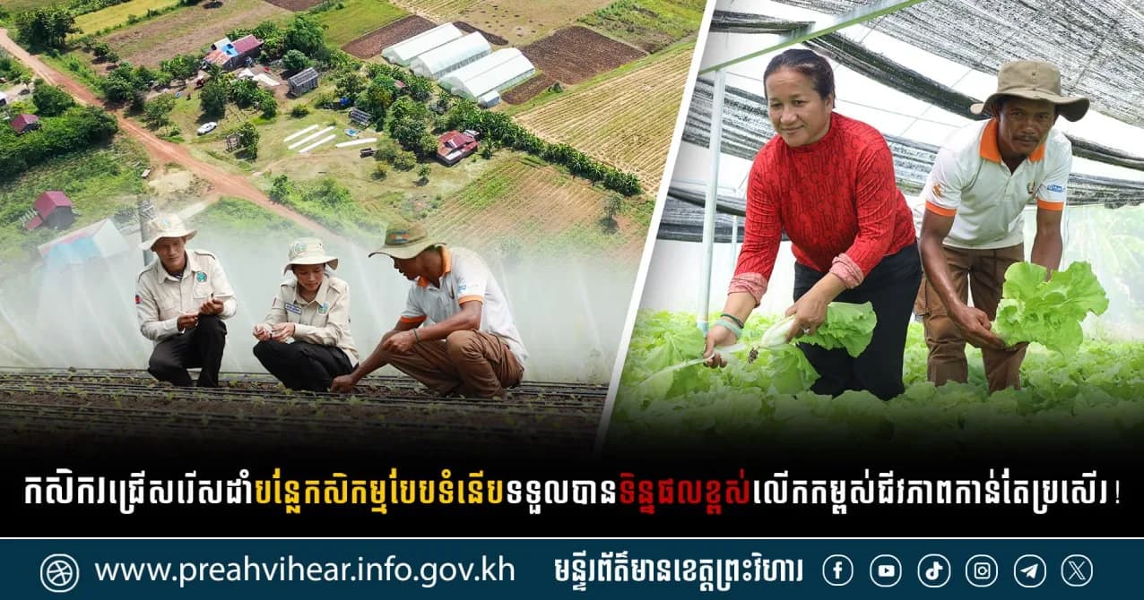 បទយកការណ៍៖ កសិករជ្រើសរើសដាំបន្លែកសិកម្មបែបទំនើបទទួលបានទិន្នផលខ្ពស់ លើកកម្ពស់ជីវភាពកាន់តែប្រសើរ!