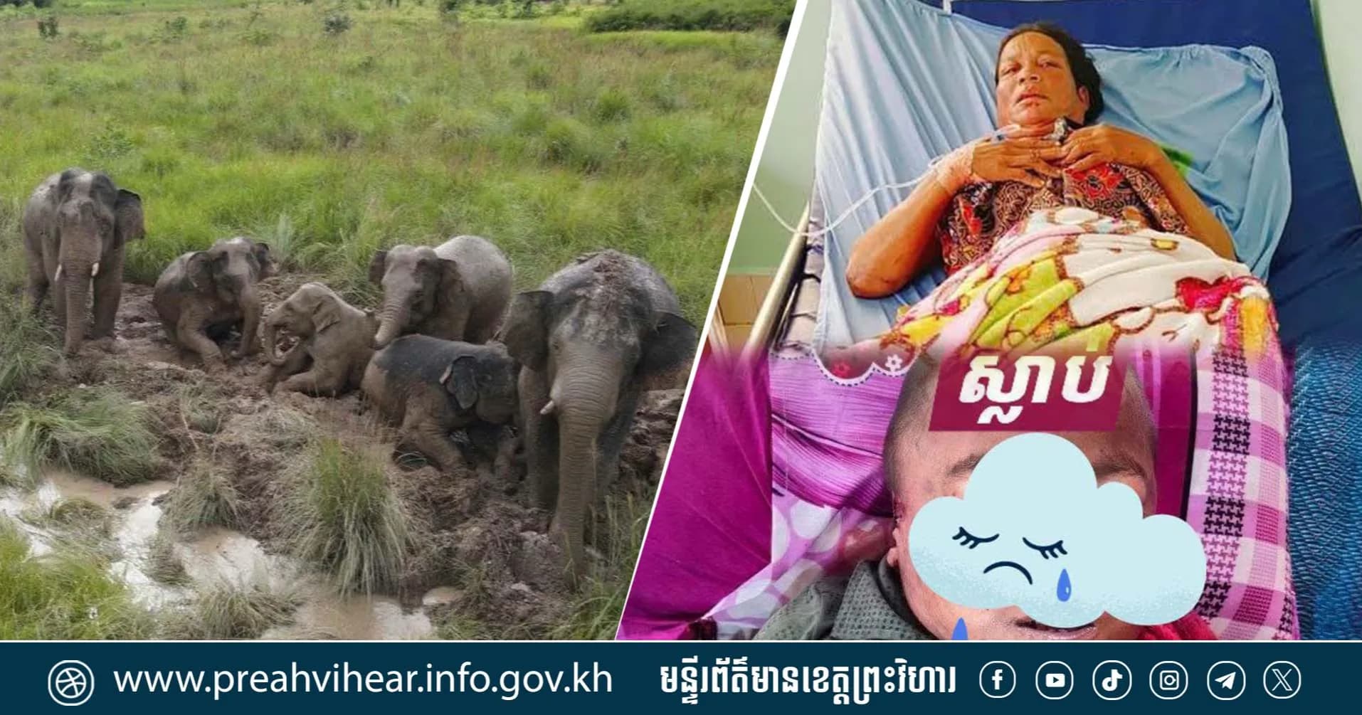 ទៅរកត្រី ហ្វូងដំរីព្រៃជាន់រោង និងជាន់មនុស្ស បណ្តាលឱ្យស្លាប់ក្មេងប្រុស១នាក់ ម្តាយរងរបួសធ្ងន់ នៅស្រុកជាំក្សាន្ត